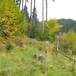 In Nahe Harzwald, Cleaning Included Lägenhet