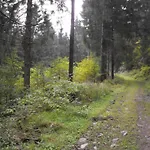 In Nahe Harzwald, Cleaning Included Lägenhet