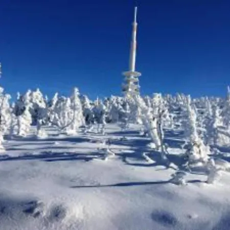 In Nahe Harzwald, Cleaning Included *