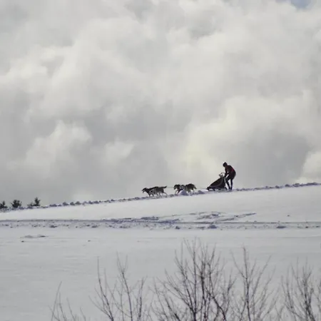 In Nahe Harzwald, Cleaning Included Daire