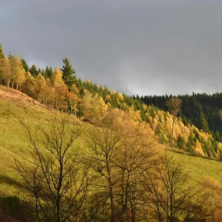 In Nahe Harzwald, Cleaning Included Wildemann