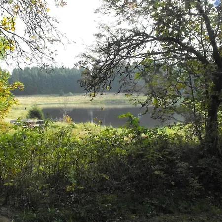 In Nahe Harzwald, Cleaning Included *