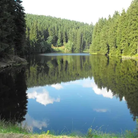 In Nahe Harzwald, Cleaning Included *