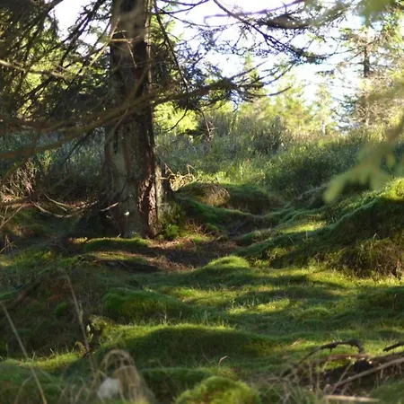 Daire In Nahe Harzwald, Cleaning Included