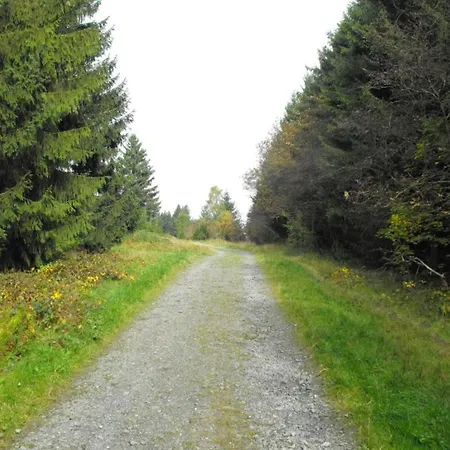 In Nahe Harzwald, Cleaning Included Daire Wildemann