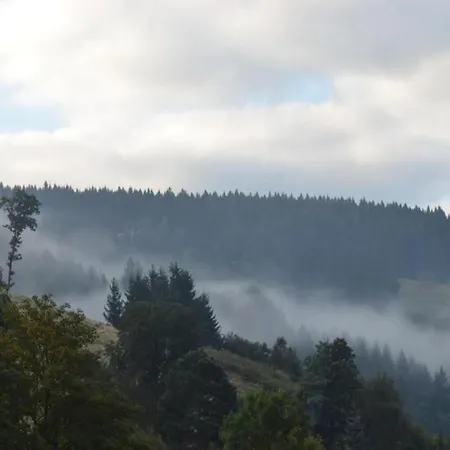 In Nahe Harzwald, Cleaning Included Daire Wildemann