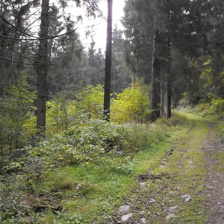In Nahe Harzwald, Cleaning Included Daire