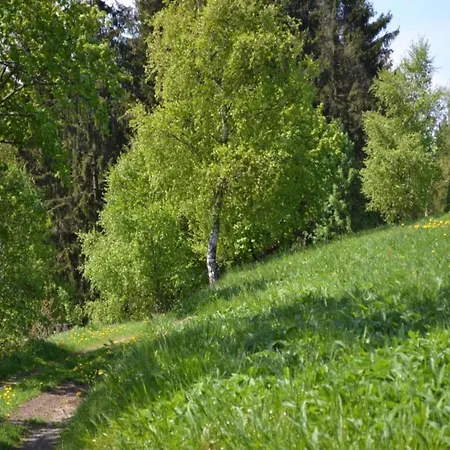 아파트 In Nahe Harzwald, Cleaning Included 빌데만