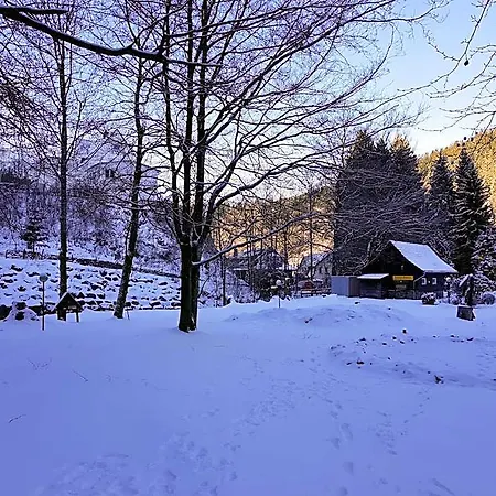 In Nahe Harzwald, Cleaning Included *