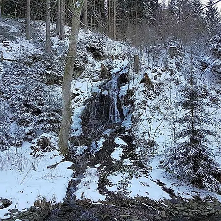 In Nahe Harzwald, Cleaning Included Wildemann