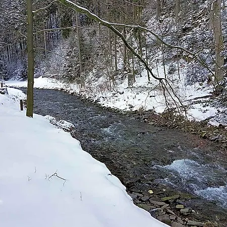 In Nahe Harzwald, Cleaning Included Wildemann