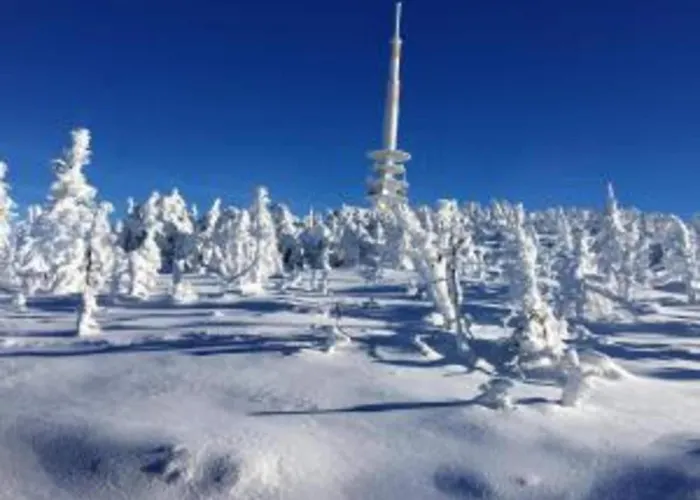 In Nahe Harzwald, Cleaning Included *