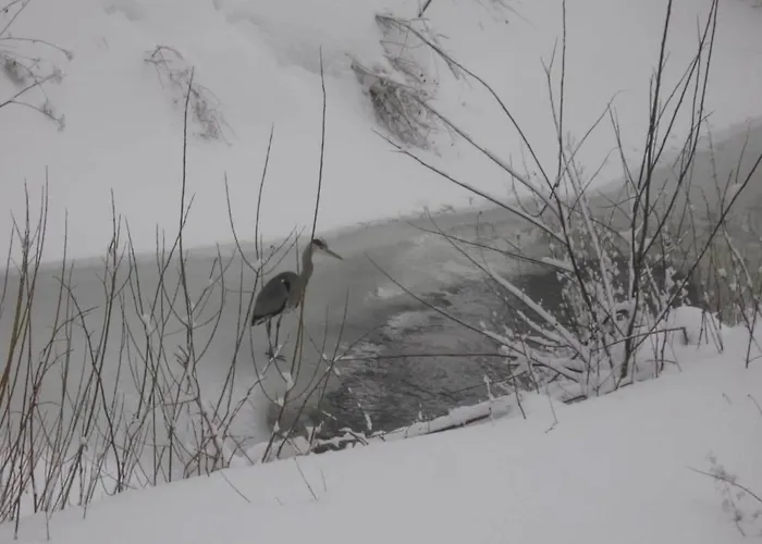 In Nahe Harzwald, Cleaning Included Διαμέρισμα *