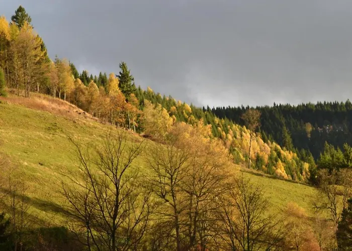 In Nahe Harzwald, Cleaning Included Wildemann