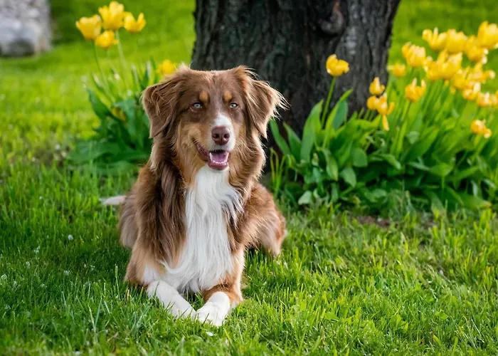 In Nahe Harzwald, Cleaning Included Διαμέρισμα *