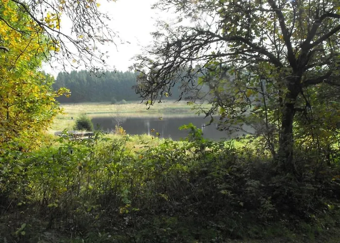 In Nahe Harzwald, Cleaning Included *