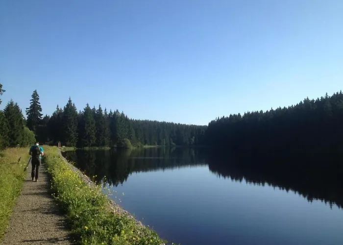 In Nahe Harzwald, Cleaning Included