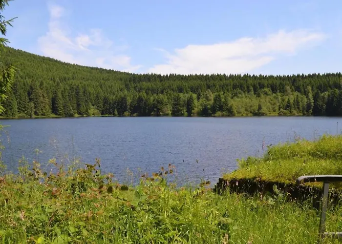 Διαμέρισμα In Nahe Harzwald, Cleaning Included *