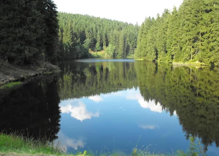 In Nahe Harzwald, Cleaning Included *