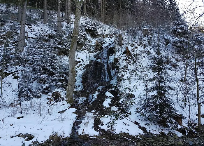 In Nahe Harzwald, Cleaning Included