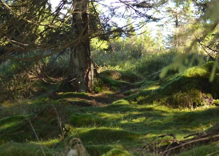 Διαμέρισμα In Nahe Harzwald, Cleaning Included