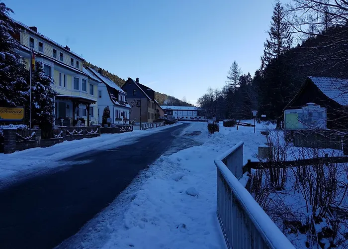 Διαμέρισμα In Nahe Harzwald, Cleaning Included Wildemann