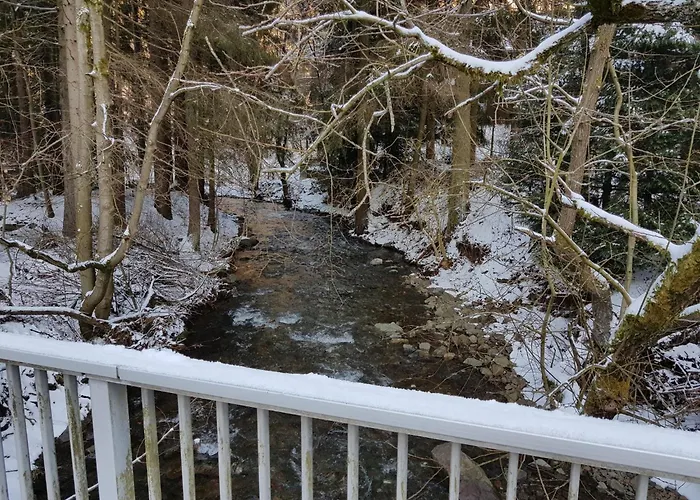 In Nahe Harzwald, Cleaning Included