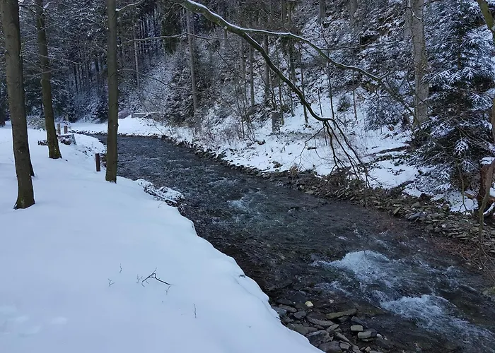 Διαμέρισμα In Nahe Harzwald, Cleaning Included
