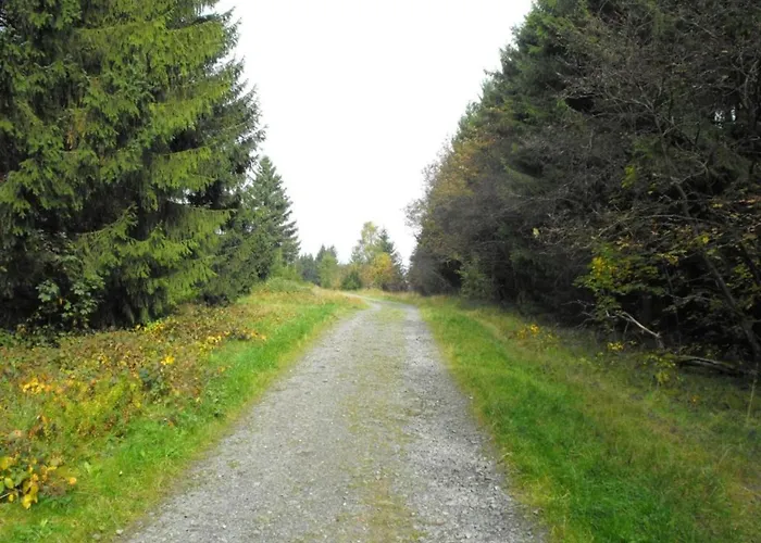 In Nahe Harzwald, Cleaning Included Διαμέρισμα Wildemann