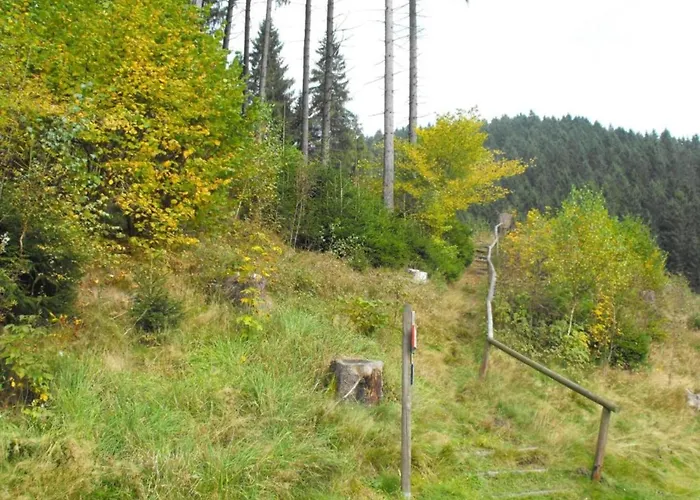 In Nahe Harzwald, Cleaning Included Διαμέρισμα
