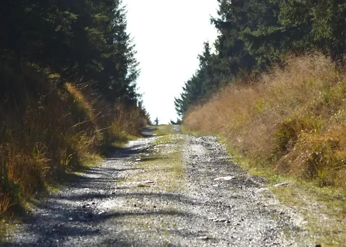 In Nahe Harzwald, Cleaning Included Διαμέρισμα Wildemann