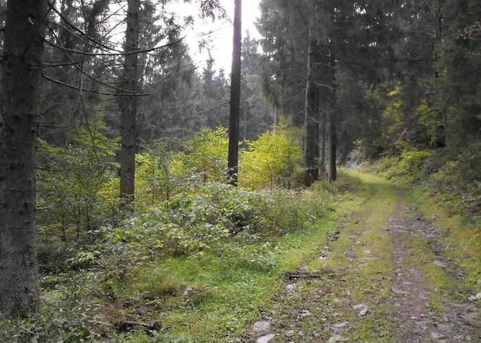 In Nahe Harzwald, Cleaning Included Διαμέρισμα