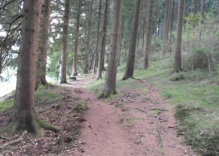 In Nahe Harzwald, Cleaning Included Διαμέρισμα Wildemann