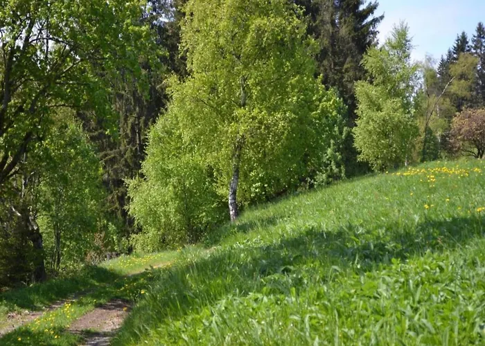 Διαμέρισμα In Nahe Harzwald, Cleaning Included Wildemann